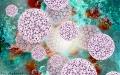  علل ابتلا به پاپیلوماویروس (HPV) در مردان