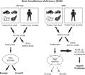 اختلالات متابولیک اسیدهای اُرگانیک: Beta ketothiolase deficiency