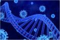  بررسی یک ژن مهم که در ابتلا به کووید-۱۹ شدید نقش دارد